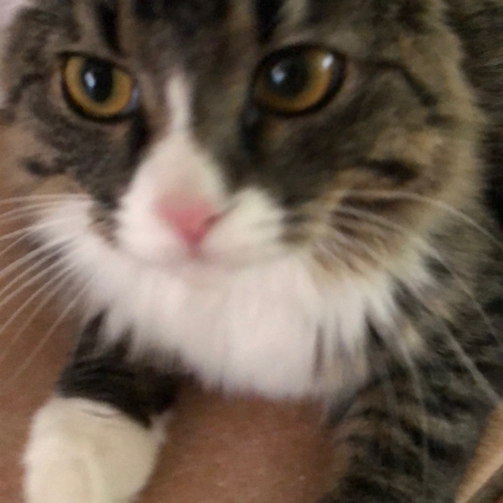 Meet your Posher, Kayelyn